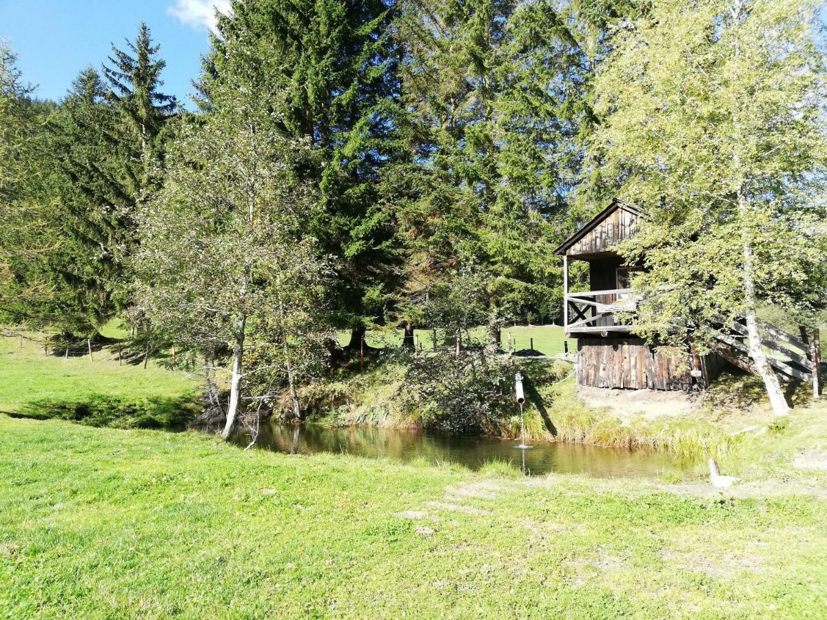 Almland Huette Villa Pusterwald Ngoại thất bức ảnh